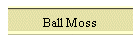 Ball Moss