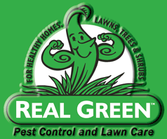 Bid Mowing Services For The South District Parks