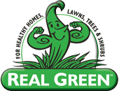 Lawn Care Schedule Austin, Texas