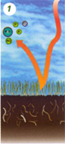 Aeration 1