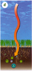 Aeration 4