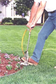 Deep Root Fertilization Austin