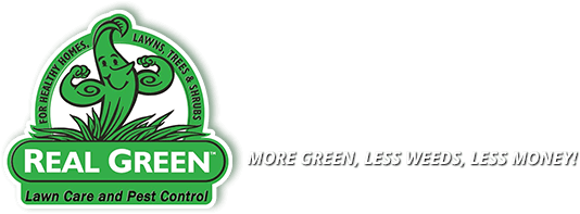 Real Green Pest and Lawn | Austin, TX | Lawn Care