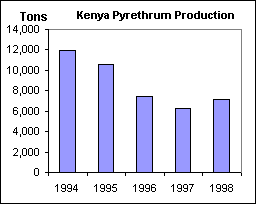 Pyrethrum