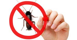 Real Green Pest and Lawns
